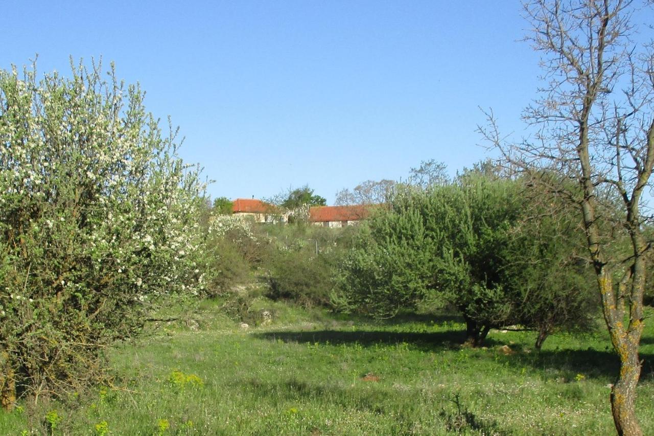 Stone House In A Quiet Landscape, Leonidion Villa Bagian luar foto